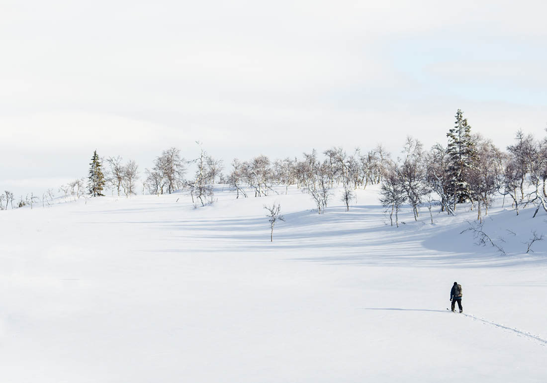 Skoter & ATV i Norrland!